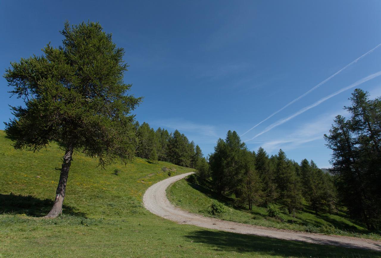 Les Hauts Des Auches Ancelle Exteriör bild